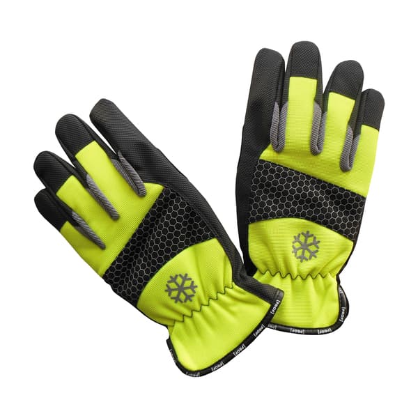 HANSKE PROF ARCTIC FLASH STR 11
